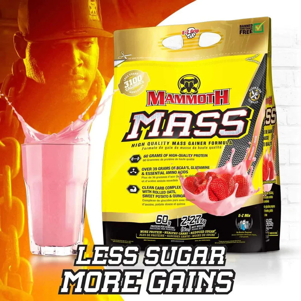 Mammoth Mass Gainer Protein Powder (5 lbs) - Image 6